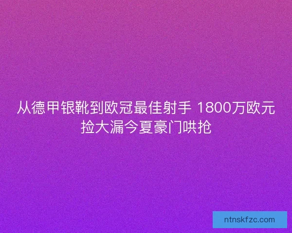 从德甲银靴到欧冠最佳射手 1800万欧元捡大漏今夏豪门哄抢