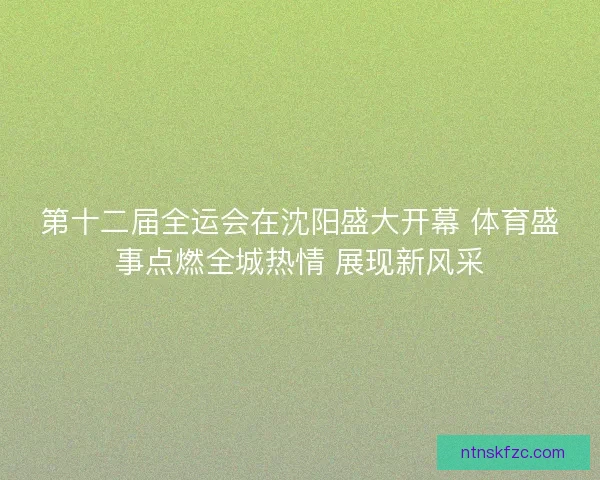 第十二届全运会在沈阳盛大开幕 体育盛事点燃全城热情 展现新风采